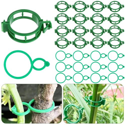 300 Stück Pflanzenclips für Kletterpflanzen, Tomaten Clips & Pflanzenklammern Set mit Ring- und 8-förmigen Clips aus Kunststoff, Rankhilfe zur Pflanzensicherung für Tomaten, Gurken & Rankenpflanzen