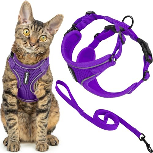 Best Pet Supplies Voyager-Set, ausbruchsicheres Katzengeschirr mit 1,5 m Langer Leine, reflektierende Nähte, Neoprengriff, für kleine, mittelgroße, große Katzen, zum Spazierengehen, Lila, Größe XXXS