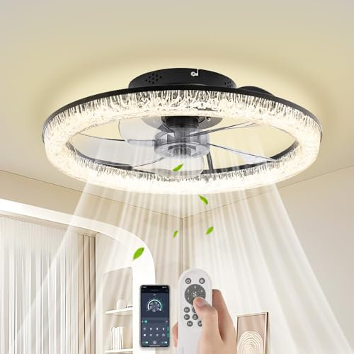 Ceiling Fans with Lights - Remote Control, 6 Speed Quiet Reversible Motor, RGB Color Changing LED (3000K-6500K), 1/2/4/8H Timer & Memory Function for Bedroom, Living Room & Dining Room, Black 50CM