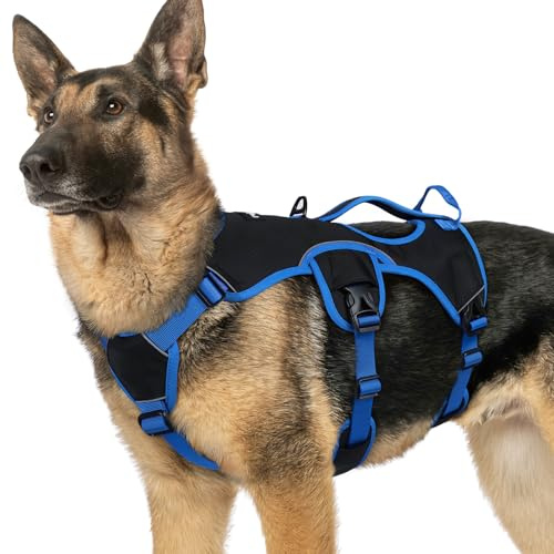 rabbitgoo Hundegeschirr Grosse Hunde，Sicherheitsgeschirr Hund | Sicherer Hebegriff, einfache Kontrolle, Anti-Zug, verstellbar, Reflektierend, für Gassi & Training, XL, Schwarz & Rosarot