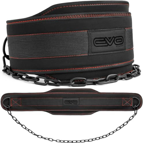 EVO Fitness Dip Gürtel robust 36 verstellbare Kette Gewichthebergürtel 6.25 Rückenstütze Hebegürtel Dip Gürtel Kinn Klimmzüge Männer und Frauen Bodybuilding Powerlifting Workout Traini (Schwarz)