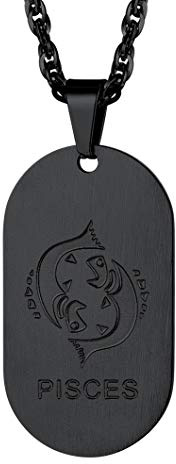 Richsteel Collier Signe Astrologique Poissons Pendentif Plaque Dog Tag Noir Homme Bijoux Constellation