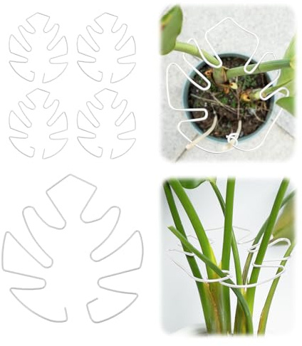 5er Plant Support Stakes for Monstera and Indoor Plants, Sturdy Plant Poles (Blanc, 13 x 14 cm)