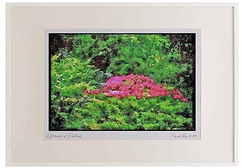 Wild Flowers Plants 013030 - Pink Azalea Bush A2 Picture Frame Limited Edition A3