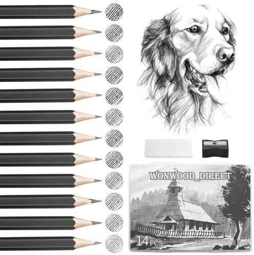 Bleistift Set 14 Zeichenstifte, Zeichenstifte Professionell Set mit Bleistiftspitzer und Radiergummi, Bleistifte Zeichnen set für Künstler, Erwachsene, Zeichnungen, Skizzieren Liebhaberin