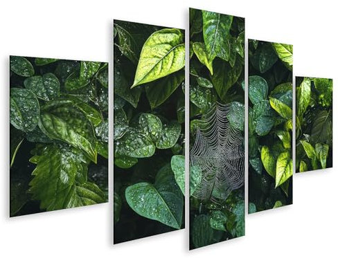 islandburner Prime Bild auf Leinwand Grüne Blätter und Spinnennetz nach Regen Bilder Wandbilder Poster
