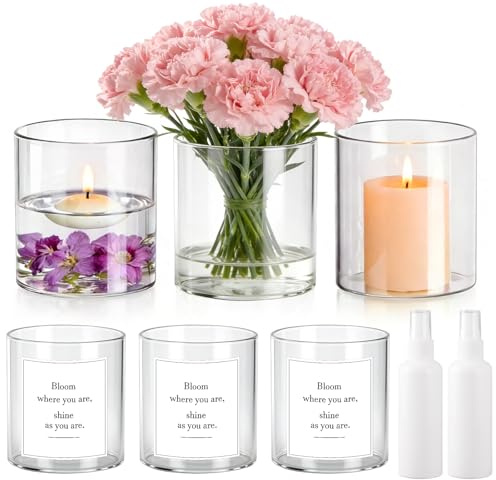 Nadisean 6-pack glasvaser för bordsdekoration, 10 x 8,5 cm glas blomvas, genomskinlig glasvas cylinder, runda blommor vaser glascylinder med 2 klistermärken, 2 sprayflaskor 100 ml för bröllop
