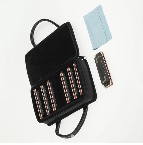 7-teiliges Set mit 10-Loch diatonischer Mundharmonika, Blues-Harfeninstrument für Anfänger