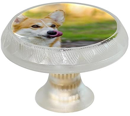 4 Stück Kommodenknöpfe, runde Schrankknöpfe für Küche, Schrank, Tür, dekorative Möbel, walisischer Corgi-Hund, niedlicher Sehenswürdigkeit, Outdoor