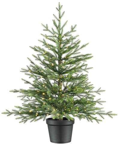 WeRChristmas Pre-Lit Potted Douglas Fir Christmas Tree, Green, 3 ft