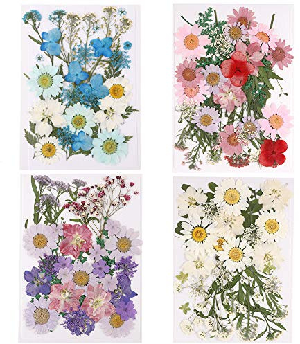 ruggito 140 Pcs Natural Pressed Dried Flowers and Green Leaves, 4Pack Mixed Real Dried Flowers for Scrapbooking/Nail Art Decor/DIY Art Makeup Floral