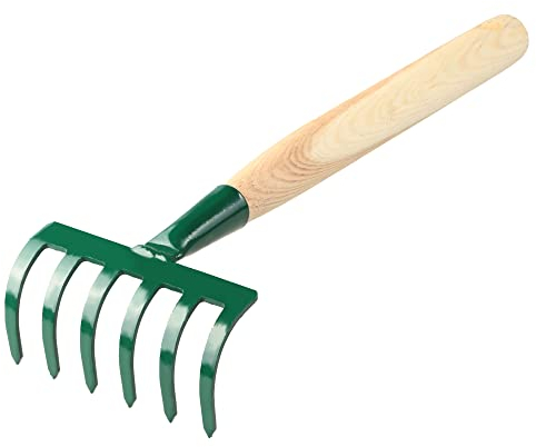 KADAX Kleine Harke aus Metall, Rechen mit Stiel aus Holz, Laubbesen, Laubrechen, Rasenrechen für Garten, Gartenharke, Handrechen, Kleinfächerbesen (6 Zinken, Grün, Grün)