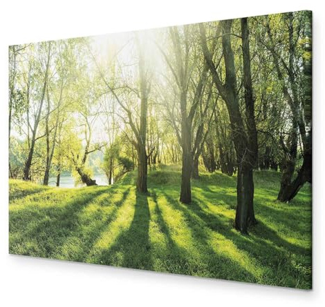 B&D XXL - Leinwandbild DIY Wohnung Natur, Schlafzimmer, Wohnzimmer, modern | Hochwertige Leinwand, sofort aufhängbar, ideal fürs Wohn- oder Schlafzimmer, wasserfest und lichtecht, langlebig, stilvoll