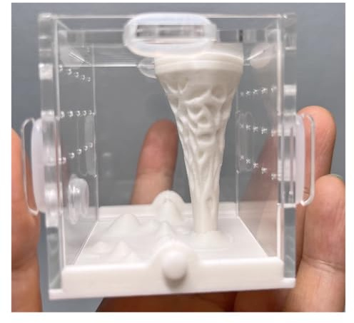 Faunarium Insektenbox Insekten-Reptilien-Futterbox for Baumbewohnende Vogelspinnen Und Skorpione Schnecken Terrarium(66mm)