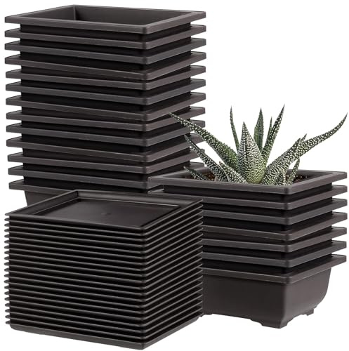 20 Pack Black Plastic Bonsai Training Pots with 20 Trays, Rectangular Planters, 6.5 Inches