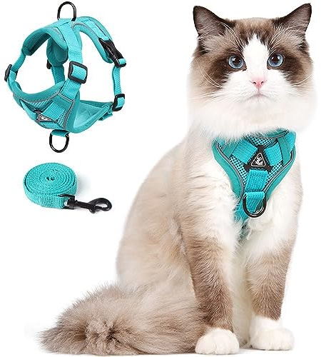 Cat Harness and Leash Set Katzengeschirr mit Leinen Set für Kätzchen, Katzenausbruchsicher Verstellbare Weste mit Leine für Kleine Katzen, Weiche Netzjacke mit Reflektierenden Streifen(L, Grün)