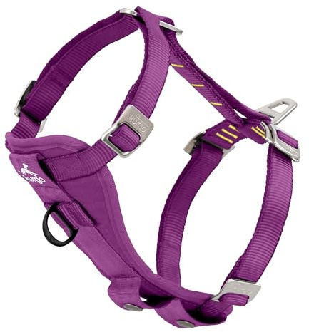 Kurgo TRU-Fit Hundsele, kraschtestat bilsäkerhetsbälte, för hundar från 2 till 5 kg, storlek S, lila