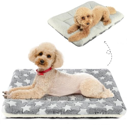 MORA PETS Dog Bed Mat Small Washable Dog Crate Mattress for 24 inch Cage Soft Flat Pet Cushion Bedding Puppy Pillow Blanket for Cats Puppy Dogs Reversible 60x46cm Grey