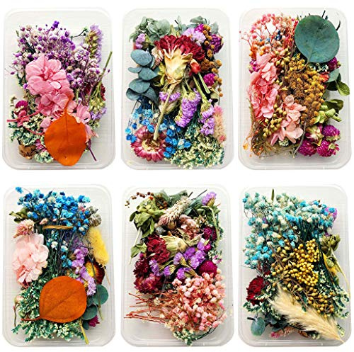 zhiwenCZW 1Box Crystal Epoxy Filler Trockenblume Gemischte Nagelaufkleber Dekorationen Harz Füllmaterial Kunsthandwerk Kunstschmuck Herstellung von DIY-Zubehör