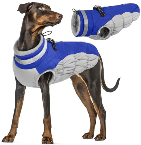 Wasserdichter Hundemantel, Winter Warme Hundejacke Winddicht Hundepullover Outdoor Hundebekleidung Winter Outfit(Blau, XL)