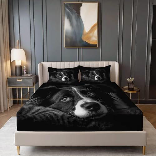 Set Lenzuola matrimoniale 3 Pezzi 180x200x30 cm e 2 Federe 50x80 cm - Animale Border Collie Completo Letto in Morbida Microfibra per bambini adulti, Nero