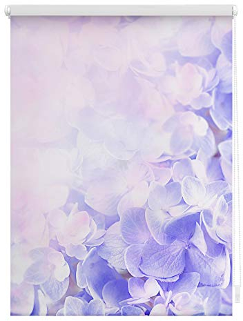 Lichtblick Klemmfix Tageslicht-Rollo mit Motiv, ohne Bohren, Blickdicht, Seitenzugrollo, Made in Germany, Hortensie - Lila 90 x 150 cm (B x L)