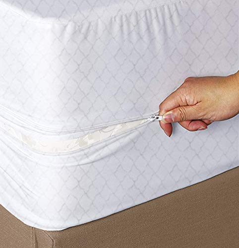 JENNY SESAL Coprimaterasso Singolo elasticizzato con Cerniera bianco in Spugna Jersey