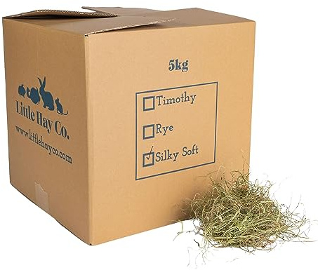 Little Hay Co Classic Silky Soft Meadow Hay | Eco Box | Clean, Green, Fresh & Fragrant! | Rabbits, Guinea Pigs, Hamsters, Degus | (5kg)