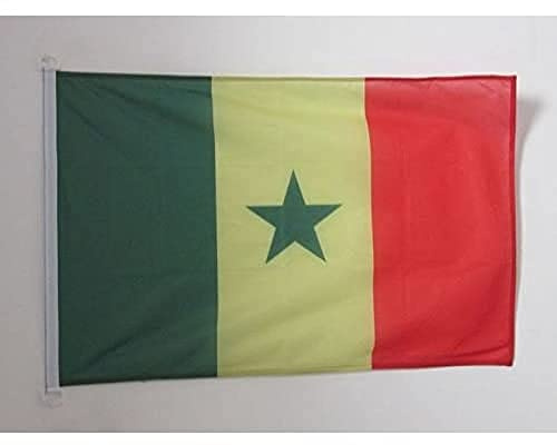 AZ FLAG Pavillon Sénégal 90x60 cm Maille Bloquée Anneaux Plastique | Usage extérieur et nautique Pavillon nautique sénégalais Senegaal avec anneaux en plastique polyester maille