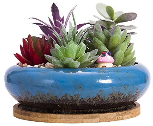ARTKETTY Succulent Plant Pot, 18.5CM Large Bonsai Pot with Drainage Tray, Ceramic Pots for Indoor Plants Shallow Cactus Plant Pot Glazed Flower Plant Container Bowl