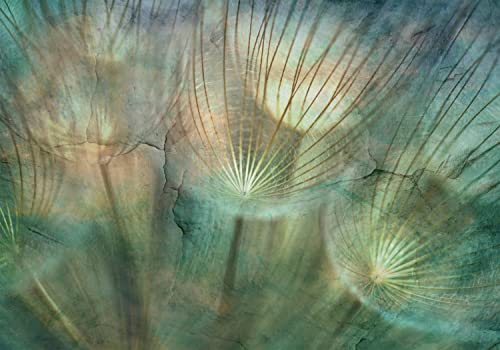 decomonkey Fototapete Pusteblume Abstrakt 400x280 cm Design Tapete XXL Fototapeten Vlies Tapeten Vliestapete Wandtapete moderne Wand Schlafzimmer Wohnzimmer Blumen Natur Stein Optik Beton Türkis