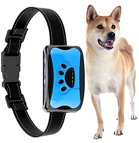Halsband-Hunde,Hundehalsband freundliche,Klassisches,Neuartiges und praktisches,Für Hunde jeder Größe (a6a)