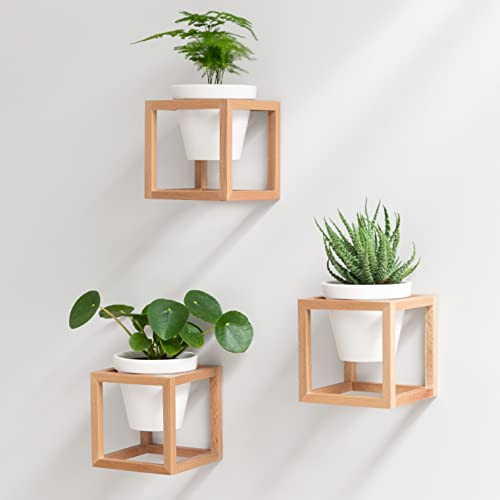 Kazai. Wandvasen -Lille- | Hängende Blumentöpfe in Echtholzrahmen | 3-teiliges Übertopf-Set aus Keramik und Holz für Wand, Tisch und mehr | Natur-Braun