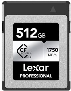 Lexar Professional CFexpress Type-B 512 GB Silver Maximum Read 1750 MB/s Max Write 1,300 MB/s Supports Japanese Manufacturers, LCXEXSL512G-RNENG