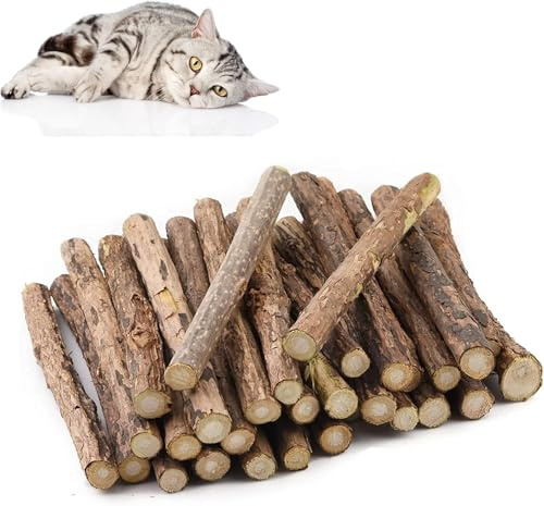 Butyeak Bastoncini di Erba Gatta, 24 Pz Bastoncini da Masticare per Gatti, Matatabi Sticks, Giochi da Masticare, Bastoncino per Denti, Giocattoli di Erba Gatta per Pulizia Denti Gatto, 8-10mm