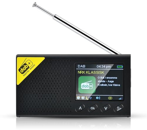 Lettore Radio DAB+FM Portatile con Schermo Digitale, Ricevitore DAB+FM Wireless Ricaricabile, Sistema Audio Stereo con Altoparlanti e 5.0BT