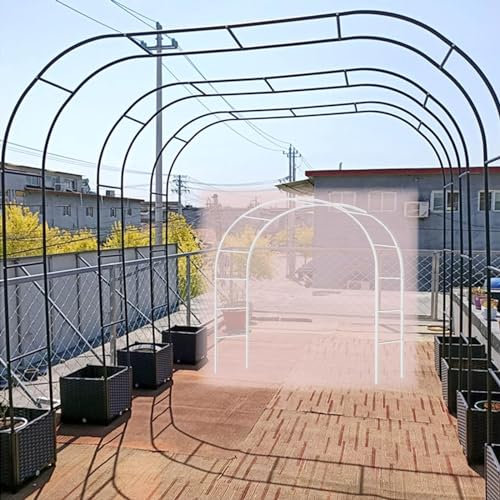 Heavy Duty Metal Garden Arch - Durable Outdoor Support for Roses, Climbing Plants & Fruits - Weather Resistant Arbour for Weddings & Gardens - Available in 1.8m, 2.4m, 3m, 3.5m Sizes