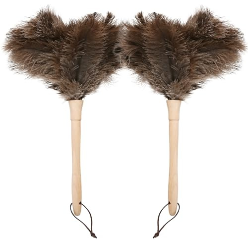 Daieeparty Plumeau en plumes d'autruche naturelles duveteuses de 40,6 cm avec poignée en bois - Fournitures de nettoyage pour la maison, le bureau, la voiture (2 pièces)