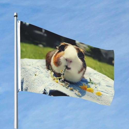 Drapeaux de 1,2 x 1,8 m - Drapeau de cochon d'Inde 200D - Décoration lourde - Drapeau de bienvenue avec œillets en laiton - Drapeaux de jardin pour mariage toutes saisons