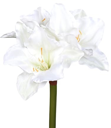 Seidenblumen Roß Premium Amaryllis 70cm DP Kunstblumen künstlicher Ritterstern Blumen Pflanzen Dekoblumen (Weiß)