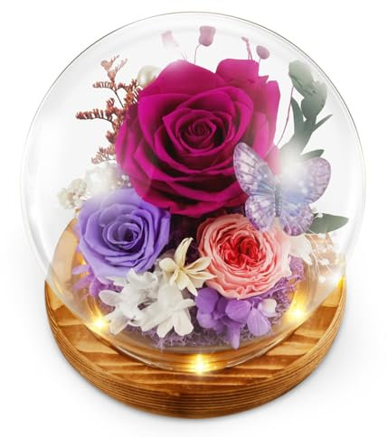 Rosa In Un Bicchiere Presenta Fiori Squisiti In Una Cupola Di Vetro Con Luce Led Fiori Decorativi Luminosi In Fiori Rossi Di Vetro All'interno Della Cupola Di Vetro Per Compleanno