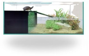 ICA REPTISELVA Kit Tortuguera Habitat de Cristal con Accesorios, 60 x 30 x 20 cm, Terrario para Tortugas con Filtro y Complementos