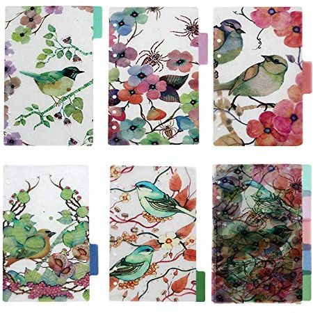 BLUGUL Transparent A5 Register, 6-Loch Registerblätter, für Notizbuch/Reisetagebuch Journal/Planer, Flower and Bird 10pcs