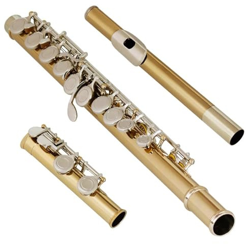 Querflöte 16 Geschlossene Offene Löcher C-Flöte Kupfernickel Versilbertes Konzertflöte-Instrument Transversal Mit E-Taste Box Handschuhe Tuch(A)
