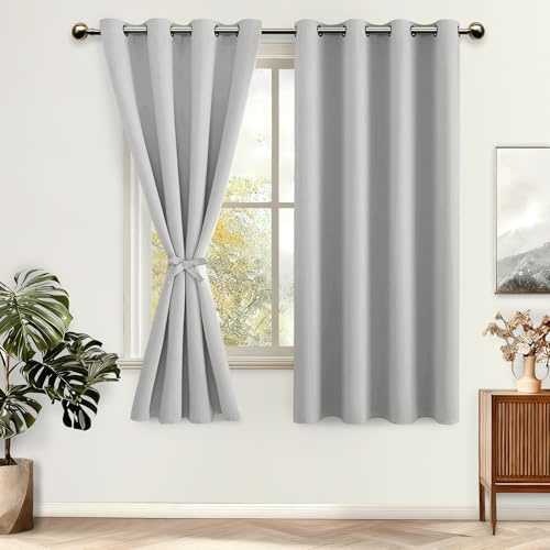 DWCN ogenomskinliga gardiner med gardinomtag 2 stycken H 145 x B 140 cm, silvergrå