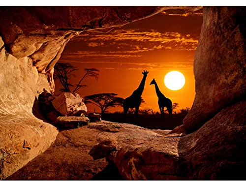 Runa Art Fototapete Afrika Giraffen 352 x 250 cm Vlies Tapeten XXL Moderne Wandtapete Wohnzimmer Schlafzimmer Orange 9343011a