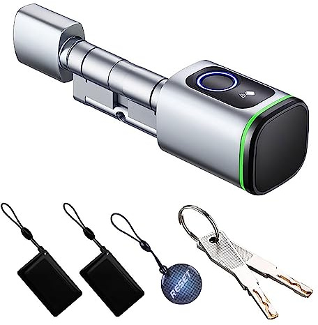 YoumiAI Tuya Bluetooth Smart Türschloss mit Euro-Zylinder,elektronischer Schlosskern,Fingerabdruck/App/IC/Schlüsselentriegelung,unterstützt Timer/App Fernbedienung über Tuya BLE Hub (silbrig, 50/50mm)