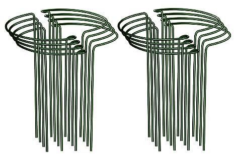 Albert Austin Pack of 8 Plant Supports for Garden Metal Frame Plant Support Stakes Easy to Install Protects Plant Stems Flower Supports for Plants Outdoor Vegetable Tomato Rose Hydrangea (25 x 40cm)