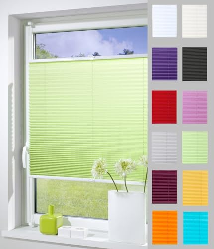 DécoProfi Plissee ohne Bohren Grün 55cm x 130cm (max. Gesamthöhe Fensterflügel) I Verspannte Plissees nach Maß mit Klemmträger/Klemmfix I Blickdichte Innenrahmen-Plissees zum Klemmen