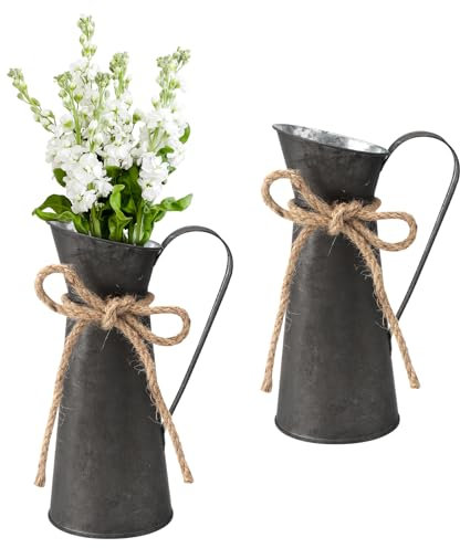 APOMOONS 2 vasi per fiori, caraffa per latte in metallo, stile rustico e decorazione retrò, shabby chic, vintage, in ferro, per nozze, giardino e tavolo